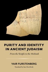 Book Cover for Purity and Identity in Ancient Judaism by Yair Furstenberg