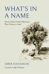 Book Cover for What's in a Name by Amer Dahamshe
