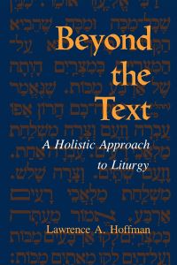 Book Cover for Beyond the Text by Lawrence A Hoffman