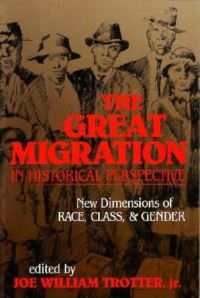 Book Cover for The Great Migration in Historical Perspective by Joe William Trotter