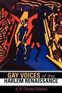 Book Cover for Gay Voices of the Harlem Renaissance by A B Schwarz