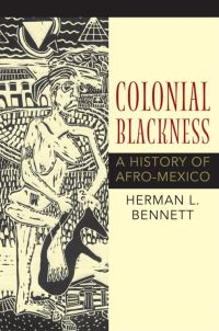 Book Cover for Colonial Blackness by Herman L Bennett