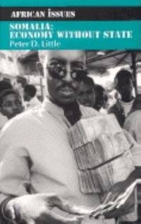 Book Cover for Somalia by Peter D Little