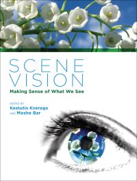 Book Cover for Scene Vision by Kestutis Kveraga, Moshe Bar