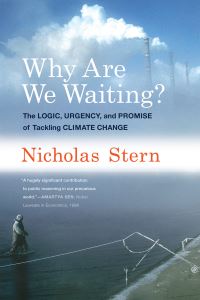 Book Cover for Why Are We Waiting? by N H Stern