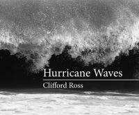 Book Cover for Hurricane Waves by Phong Bui, Orville Schell, Massachusetts Museum of Contemporary Art