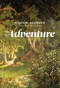 Book Cover for The Adventure by Giorgio Agamben