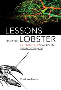 Book Cover for Lessons from the Lobster by Charlotte Nassim