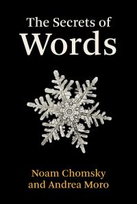 Book Cover for The Secrets of Words by Noam Chomsky, Andrea Moro