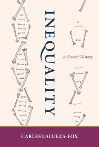 Book Cover for Inequality by Carles Lalueza i Fox