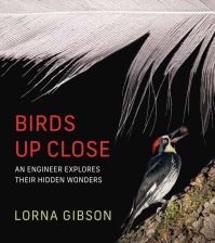 Book Cover for Birds Up Close by Lorna J Gibson