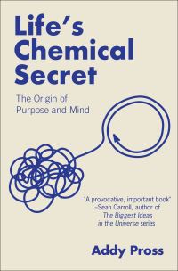 Book Cover for Life's Chemical Secret by Addy Pross