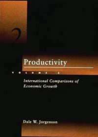 Book Cover for Productivity by Dale W Jorgenson