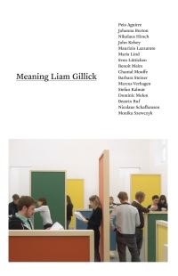 Book Cover for Meaning Liam Gillick by Liam Gillick, Monika Szewczyk, Stefan Kalmár, Kunsthalle Zürich