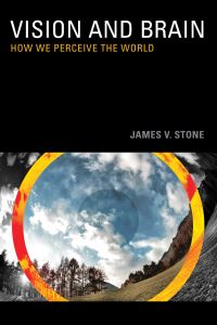 Book Cover for Vision and Brain by James V Stone