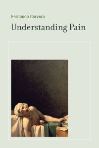 Book Cover for Understanding Pain by Fernando Cervero