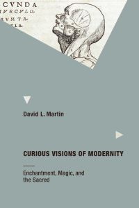 Book Cover for Curious Visions of Modernity by David L Martin