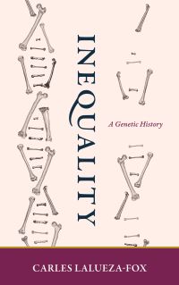 Book Cover for Inequality by Carles LaluezaFox