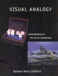 Book Cover for Visual Analogy by Barbara Maria Stafford