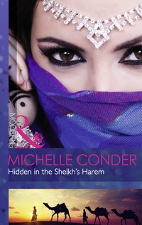 Book Cover for Hidden in the Sheikh's Harem by Michelle Conder