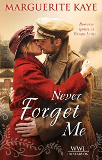 Book Cover for Never Forget Me by Marguerite Kaye, Marguerite Kaye