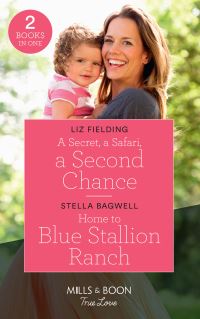 Book Cover for A Secret, a Safari, a Second Chance by Liz Fielding, Stella Bagwell