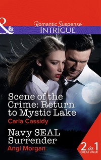 Book Cover for Return to Mystic Lake by Carla Cassidy, Angi Morgan