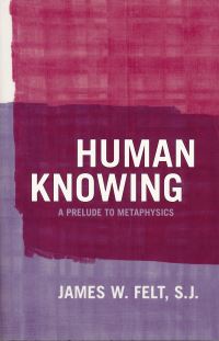 Book Cover for Human Knowing by James W Felt