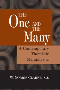 Book Cover for The One and the Many by W Norris Clarke
