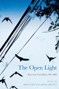 Book Cover for The Open Light by Orlando Ricardo Menes