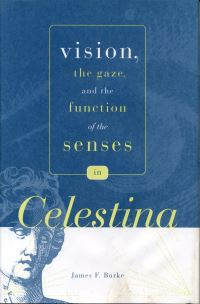 Book Cover for Vision, the Gaze, and the Function of the Senses in 