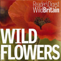 Book Cover for Wild Flowers by Readers Digest