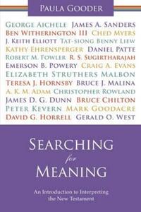 Book Cover for Searching for Meaning by Paula Gooder