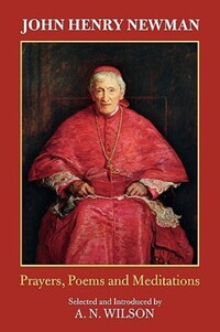 Book Cover for John Henry Newman by A N Wilson