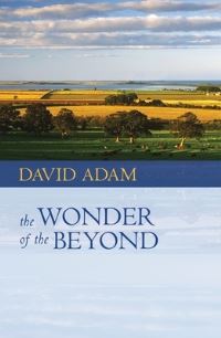 Book Cover for The Wonder of the Beyond by David Adam