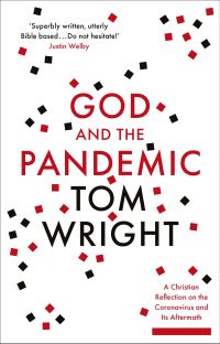 Book Cover for God and the Pandemic by N T Wright