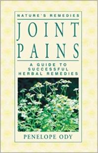 Book Cover for Joint Pains by Penelope Ody