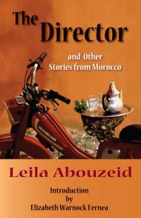 Book Cover for The Director and Other Stories from Morocco by Laylá Abu Zayd