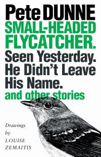 Book Cover for Small-Headed Flycatcher. Seen Yesterday. He Didn't Leave His Name by Pete Dunne