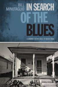 Book Cover for In Search of the Blues by Bill Minutaglio