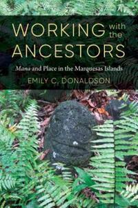 Book Cover for Working With the Ancestors by Emily C Donaldson