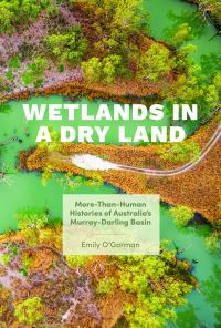 Book Cover for Wetlands in a Dry Land by Emily OGorman