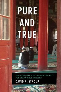 Book Cover for Pure and True by David R Stroup