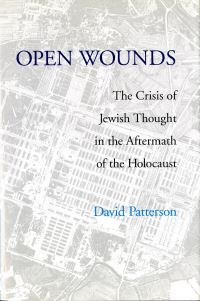 Book Cover for Open Wounds by David Patterson