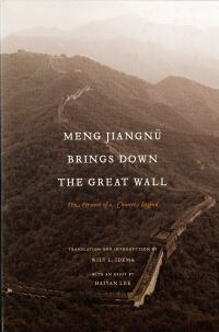 Book Cover for Meng Jiangnü Brings Down the Great Wall by W L Idema