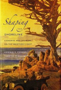 Book Cover for Shaping the Shoreline by Connie Y Chiang