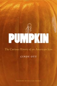 Book Cover for Pumpkin by Cindy Ott