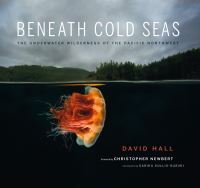 Book Cover for Beneath Cold Seas by David Hall
