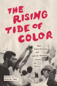 Book Cover for The Rising Tide of Color by MoonHo Jung