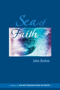 Book Cover for Sea of Faith by John Brehm